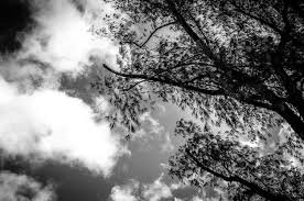 बेरंग आसमान