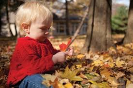 नादान-इ-दिल