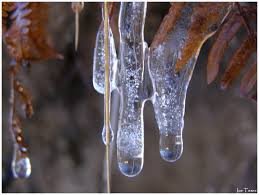 ଲୁହ ବରଫ ପାଲଟିଲା ପରେ